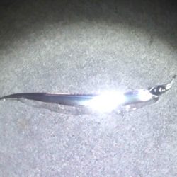 焼津港　太刀魚連日釣果、ヤリイカ、コウイカも釣れてます